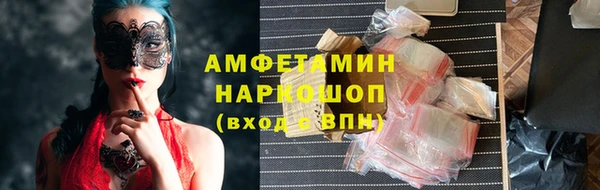 прущие грибы Вяземский