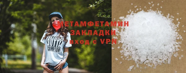 прущие грибы Вяземский