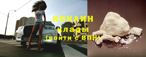прущие грибы Вяземский