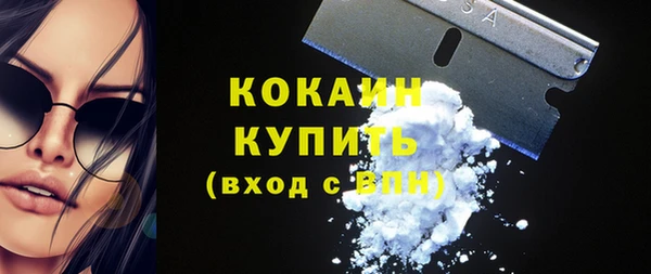 прущие грибы Вяземский
