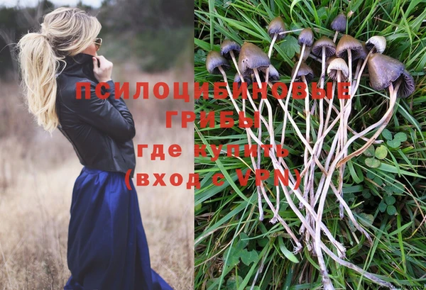 дмт Волосово
