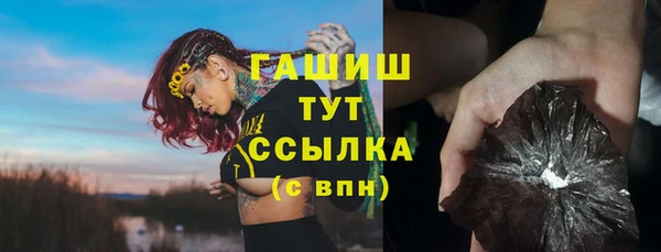 прущие грибы Вяземский