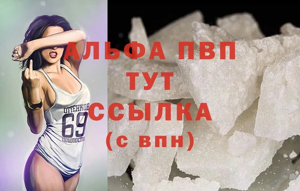 спиды Вязьма
