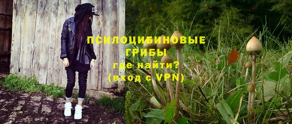 прущие грибы Вяземский