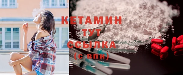 прущие грибы Вяземский