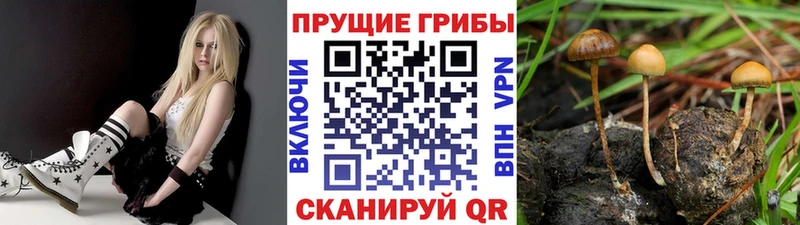 Галлюциногенные грибы ЛСД  Екатеринбург 